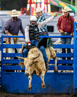 2024 Leavenworth County  Fair Rodeo
