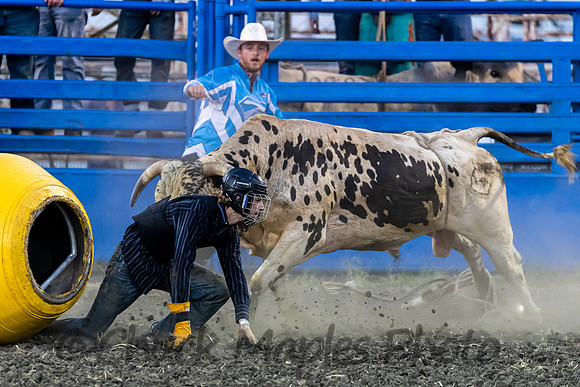 Leavenworth County Fair Rodeo Saturday Aug 3 2024--86