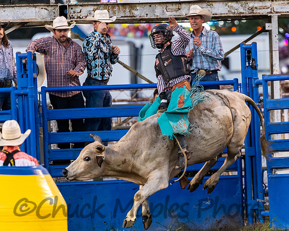Leavenworth County Fair Rodeo Saturday Aug 3 2024--70
