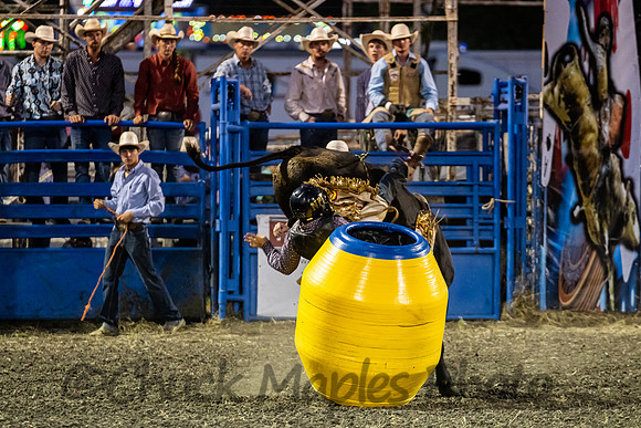 Leavenworth County Fair Rodeo Saturday Aug 3 2024-304