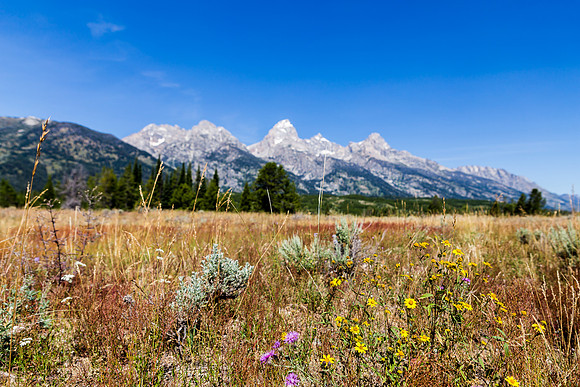 Grand Tetons