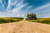 Naturescapes