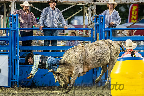 Leavenworth County Fair Rodeo Saturday Aug 3 2024-169