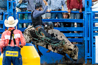 Leavenworth County Fair Rodeo Saturday Aug 3 2024--21