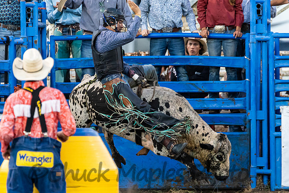 Leavenworth County Fair Rodeo Saturday Aug 3 2024--21