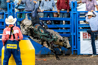 Leavenworth County Fair Rodeo Saturday Aug 3 2024--24