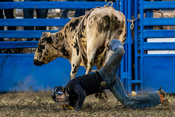 Leavenworth County Fair Rodeo Saturday Aug 3 2024--63